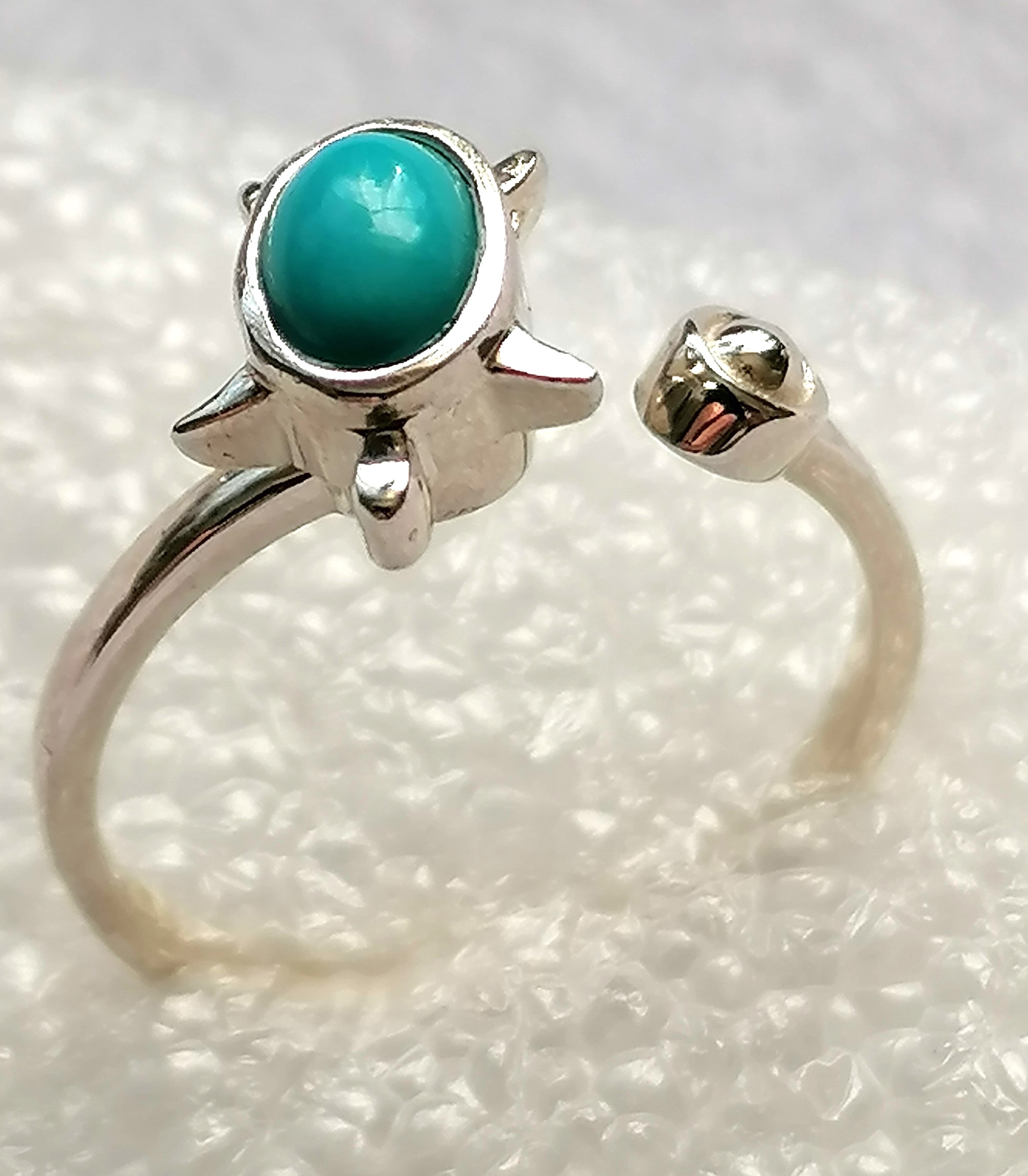 Turquoise Spinner Ring